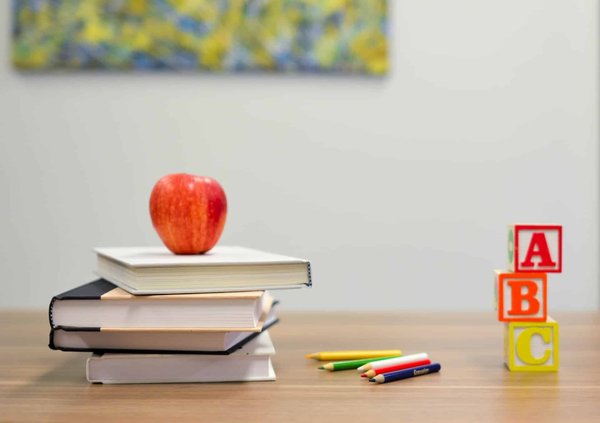 Quelle est l'influence des figures pédagogiques sur l'orientation des jeunes ?